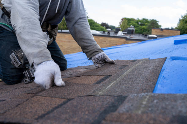 Best Shingle Roofing Installation  in West Salem, WI