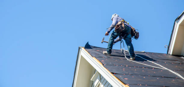 Best Roof Gutter Cleaning  in West Salem, WI